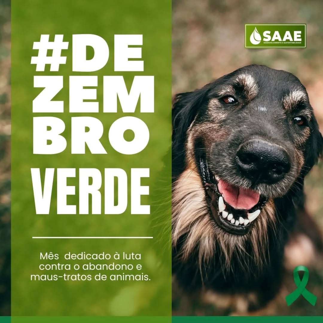 Snapinsta.app_469259891_1342846400038243_1706285797458302591_n_1080
